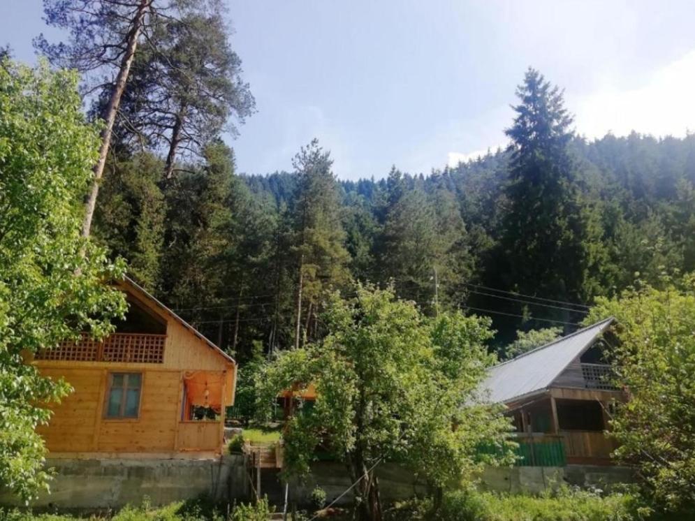 Guest House Ilia Borzsomi Kültér fotó