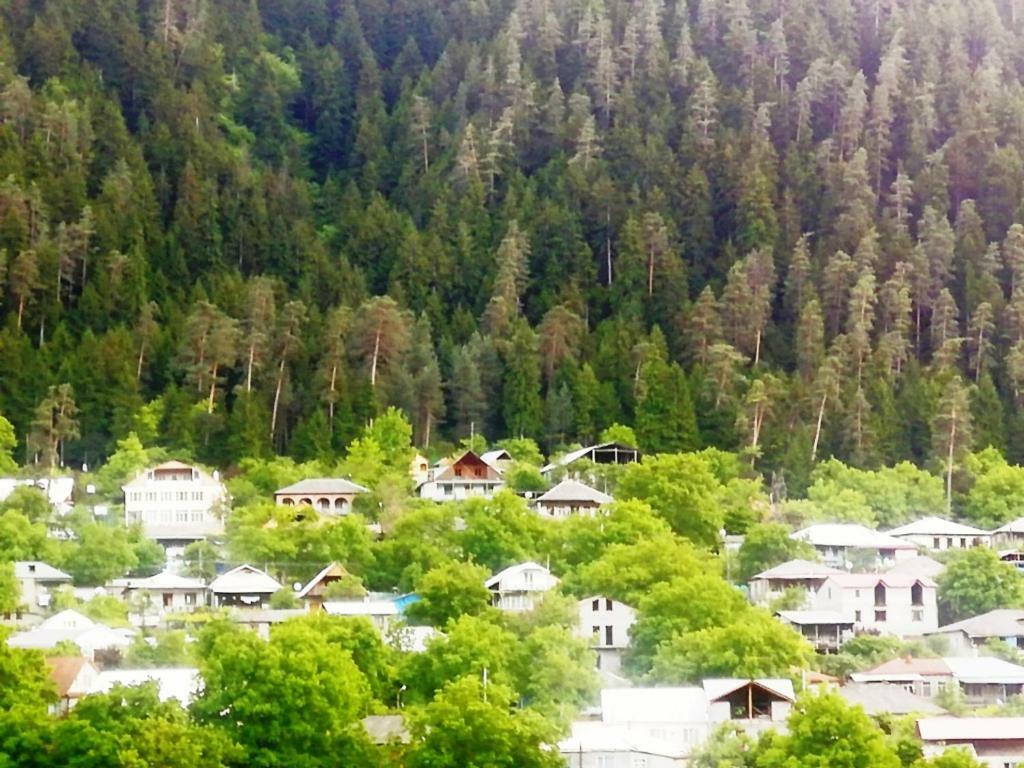 Guest House Ilia Borzsomi Kültér fotó