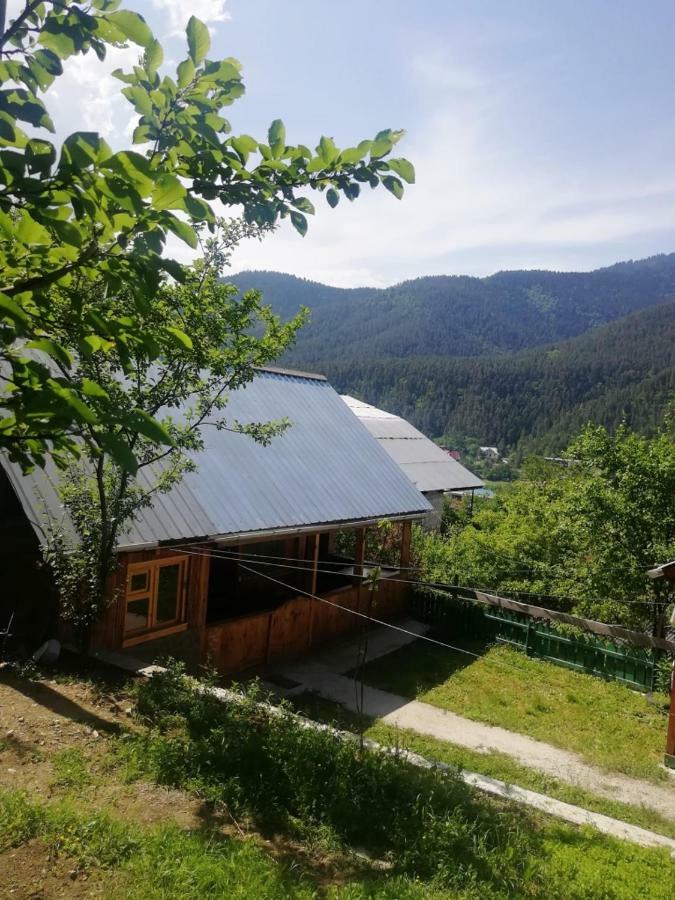Guest House Ilia Borzsomi Kültér fotó