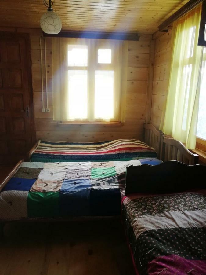 Guest House Ilia Borzsomi Kültér fotó