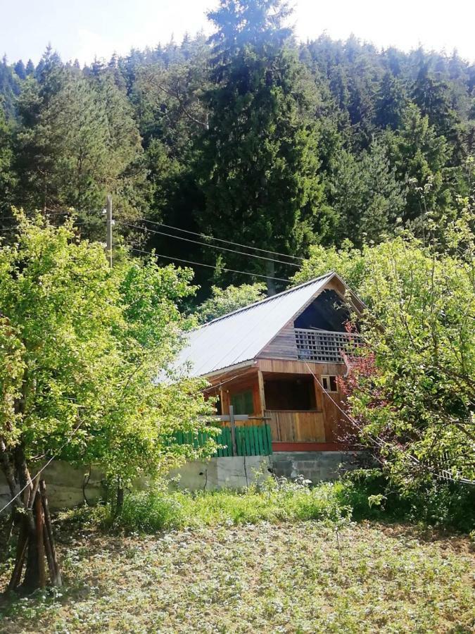 Guest House Ilia Borzsomi Kültér fotó
